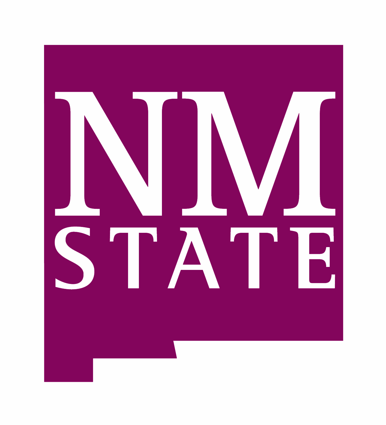 NM State. Spanish Courses in Latin America NM STATE
