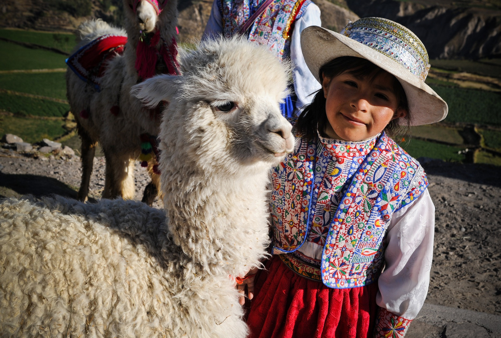 Travelling through South America